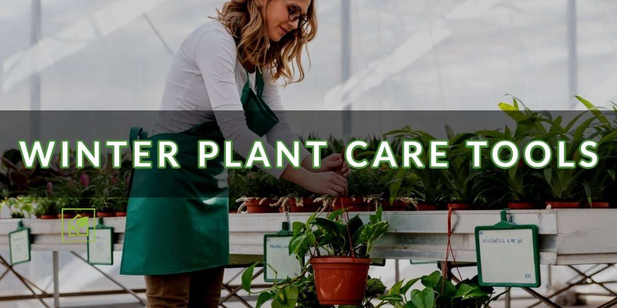 Winter plant care instruments | Indoor Gardening