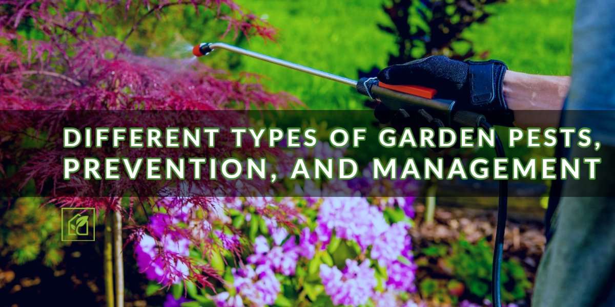 16 Varieties of Backyard Pests: Prevention and Administration