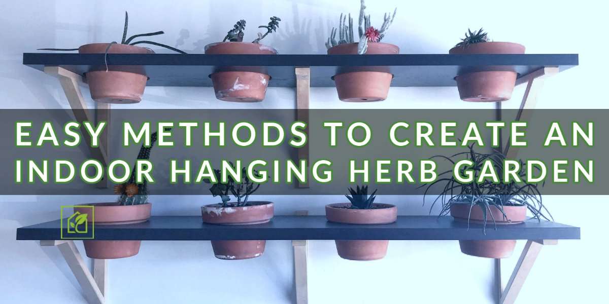 Simple Strategies to Create an Indoor Hanging Herb Backyard