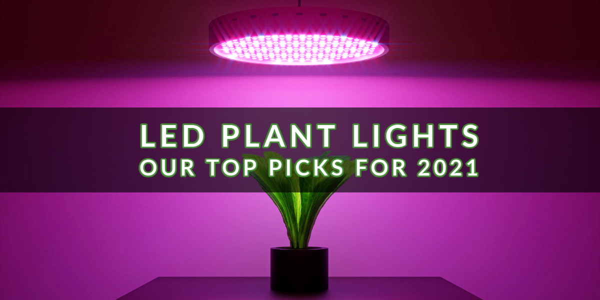 LED Plant Lights – Our Prime Picks For 2021